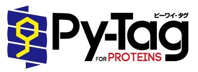 Py-Tag_logo